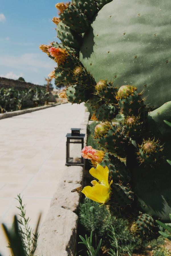 Masseria Paralupi เลชเช ภายนอก รูปภาพ